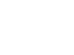 Toro Loco logo